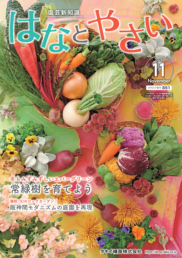 はなとやさい 2024年11月 | タキイ種苗