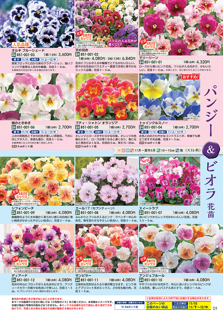 はなとやさい 2024年11月 | タキイ種苗