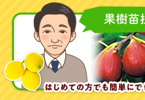《タキイの初売り！》お得な福袋やセール品が目白押し！