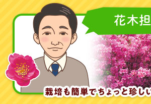 《タキイの初売り！》お得な福袋やセール品が目白押し！