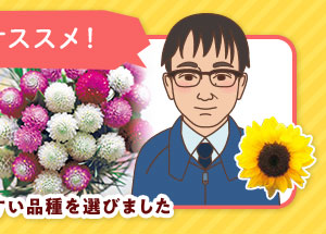 《タキイの初売り！》お得な福袋やセール品が目白押し！