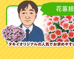 《タキイの初売り！》お得な福袋やセール品が目白押し！