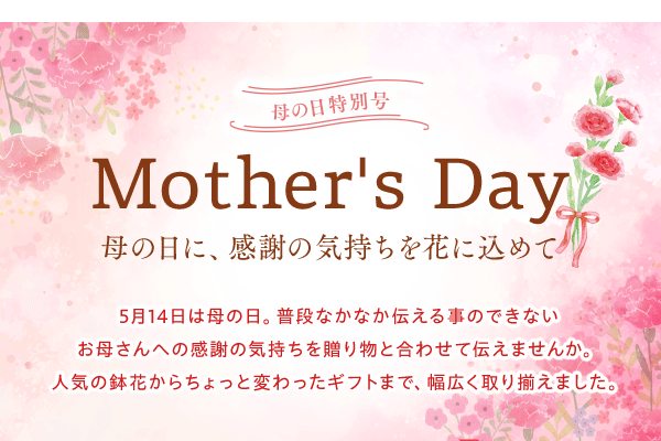 母の日に、感謝の気持ちを花に込めて