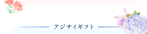 アジサイギフト