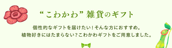 －”こわかわ”雑貨のギフト－