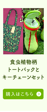 トートバックとキーチェーンセット購入はこちら