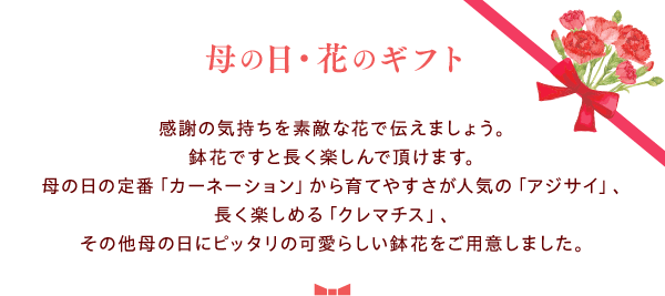 －母の日・花のギフト－