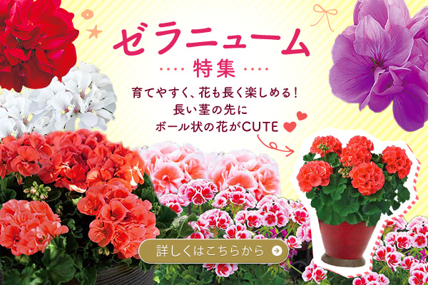 [j[W