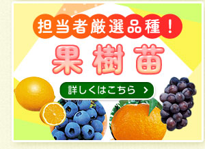 □2023夏秋 秋まき野菜種子＆特選商品