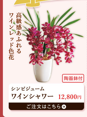 ワインシャワー