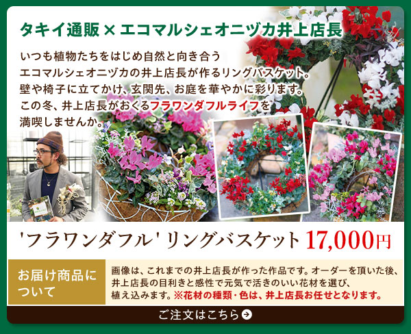 フラワンダフル　リングバスケットはこちら
