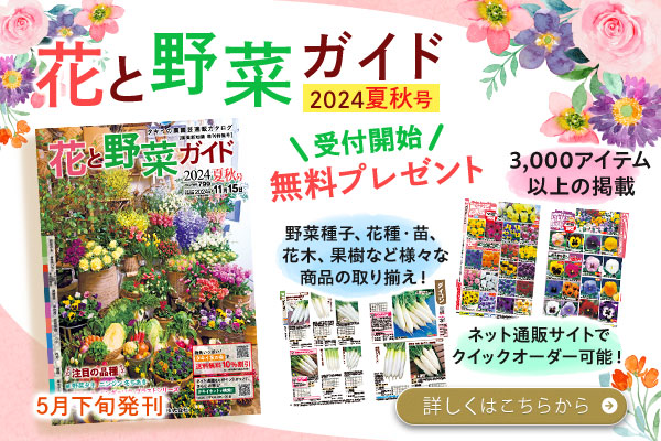花と野菜ガイド24年夏秋号