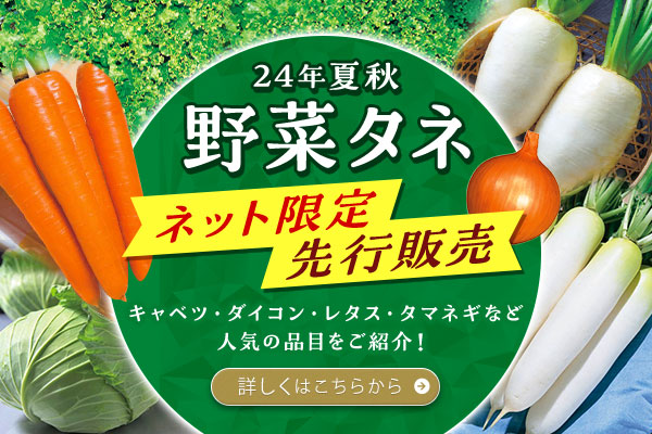 24年夏秋　ネット先行・限定販売　野菜タネ