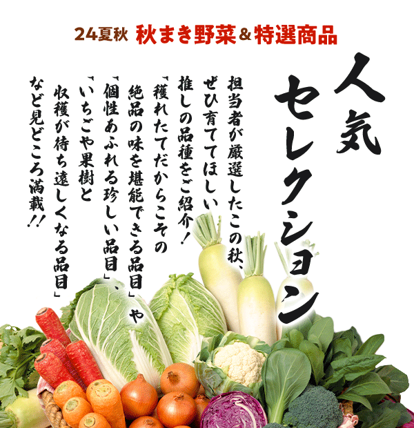 ～24夏秋まき野菜＆特選商品　人気セレクション～