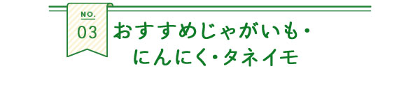 おすすめじゃがいも・にんにくタネイモ