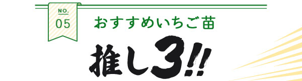 おすすめいちご苗推し3