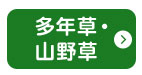 多年草・山野草ページへ