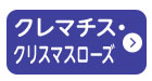 クレマチス・クリスマスローズページへ