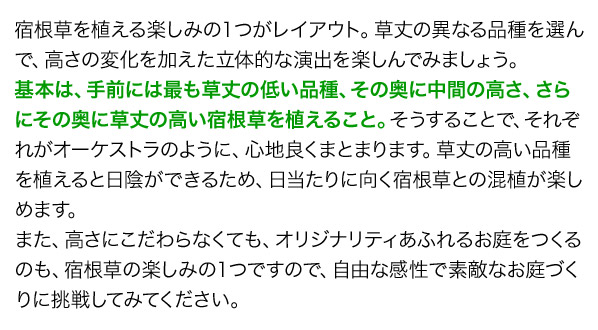 宿根草を植える楽しみの１つがレイアウト。草丈の異なる品種を選んで、高さの変化を加えた立体的な演出を楽しんでみましょう。基本は、手前には最も草丈の低い品種、その奥に中間の高さ、さらにその奥に草丈の高い宿根草を植えること。そうすることで、それぞれがオーケストラのように、心地良くまとまります。草丈の高い品種を植えると日陰ができるため、日当たりに向く宿根草との混植が楽しめます。また、高さにこだわらなくても、オリジナリティあふれるお庭をつくるのも、宿根草の楽しみの１つですので、自由な感性で素敵なお庭づくりに挑戦してみてください。