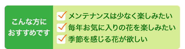 こんな方におすすめです・メンテナンスは少なく楽しみたい・毎年お気に入りの花を楽しみたい・季節を感じる花が欲しい