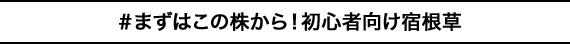 ＃まずはこの株から！初心者向け宿根草