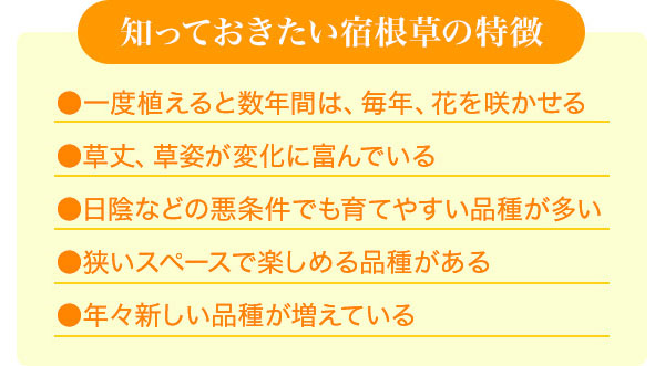知っておきたい宿根草の特徴●一度植えると数年間は、毎年、花を咲かせる●草丈、草姿が変化に富んでいる●日陰などの悪条件でも育てやすい品種が多い●狭いスペースで楽しめる品種がある●年々新しい品種が増えている