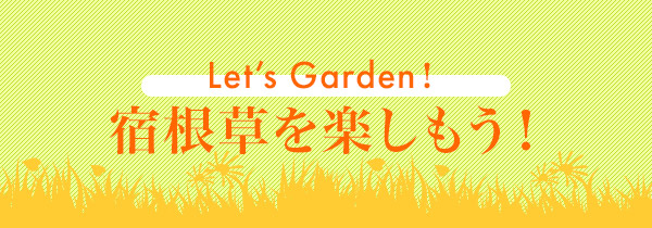 Let's Garden！　宿根草を楽しもう！