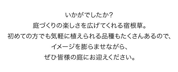 いかがでしたか？庭づくりの楽しさを広げてくれる宿根草。初めての方でも気軽に植えられる品種もたくさんあるので、イメージを膨らませながら、ぜひ皆様の庭にお迎えください。