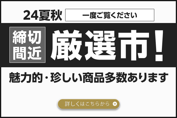 締切間近厳選市