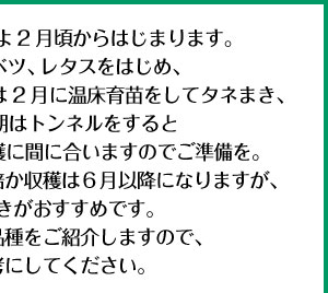 いよいよ2月頃からはじまります。