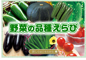 野菜の品種えらび