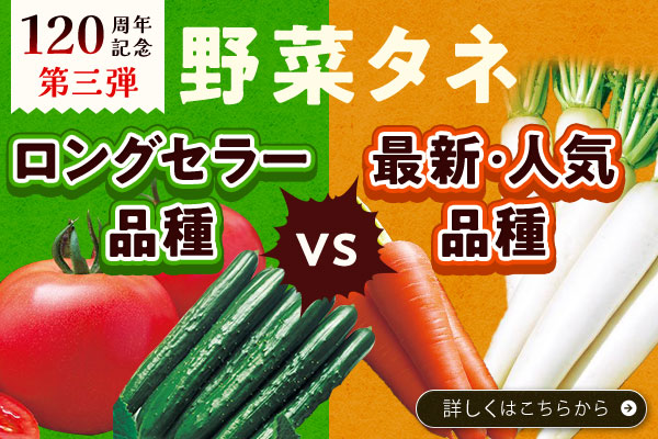 野菜タネVS