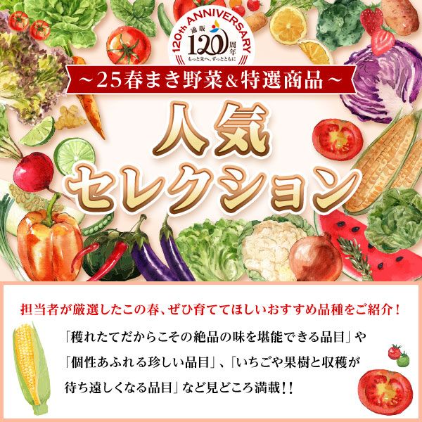 ～25春まき野菜＆特選商品　人気セレクション～