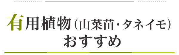 有用植物（山菜・タネイモ）おすすめ