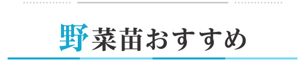 野菜苗おすすめ