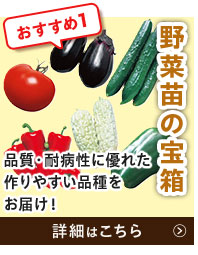 野菜苗の宝箱