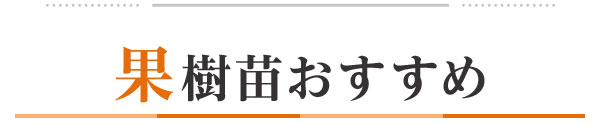 果樹苗おすすめ