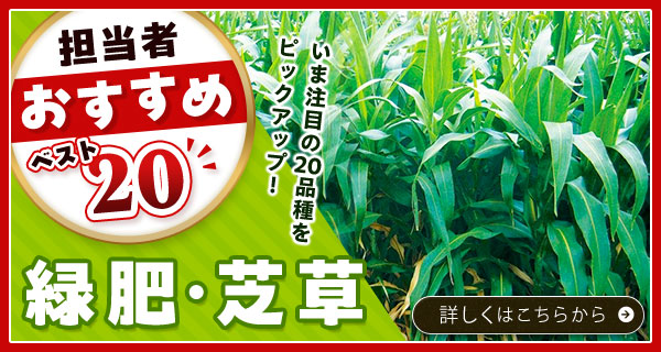担当者おすすめベスト20【緑肥・芝草】
