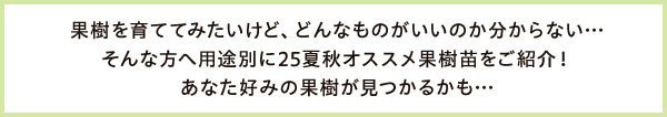 果樹を育ててみたいけど、どんなものがいいのか分からない…