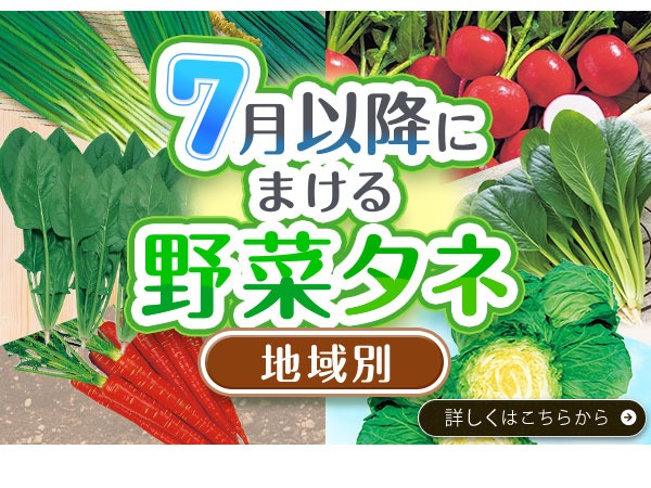 7月以降にまける野菜タネ【地域別】