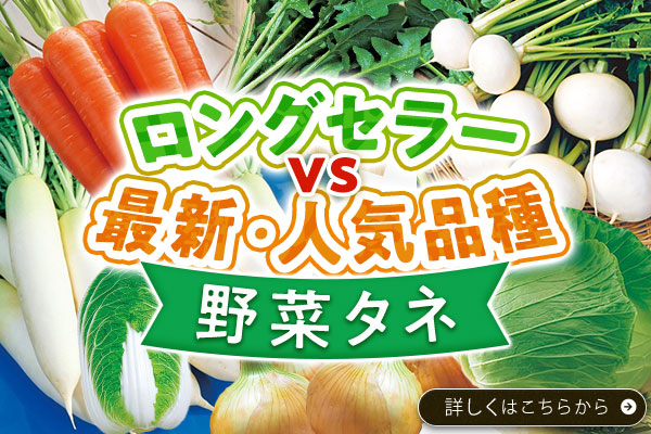 野菜タネロングセラーVS人気品種