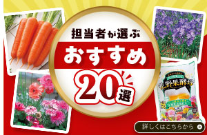 25夏秋担当者おすすめベスト20
