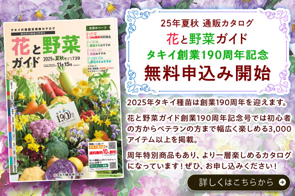 ガイド募集