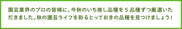 秋の園芸ライフを彩るとっておきの品種を見つけましょう！