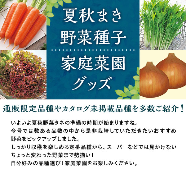 TOP 夏秋まき野菜種子　家庭菜園グッズ