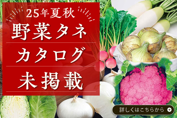 25夏秋野菜タネ カタログ未掲載