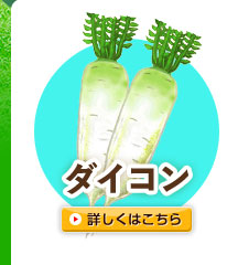 ダイコン