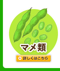 マメ類