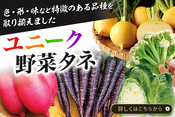ユニーク野菜タネ