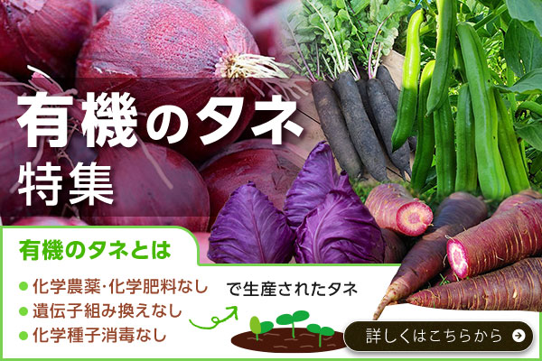 有機のタネ特集
